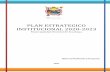 PLAN ESTRATEGICO INSTITUCIONAL 2020-2023