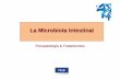 La Microbiota IntestinalLa Microbiota Intestinal