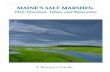 MAINE S SALT MARSHES: Their Functions, Values, and ...