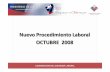 Nuevo Procedimiento Laboral Octubre08 Zarko Luksic