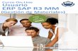 Curso On-Line Usuario ERP SAP R3 MM