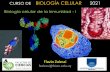 CURSO DE BIOLOGÍA CELULAR 2021 Biología celular de la ...