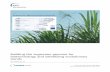 Building the sugarcane genome for biotechnology and ...