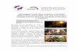 Comu381-2020 ECRCC2030 - Estrategia Costa Rica Creativa y ...