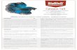 Cattapa Salt brochure - BioBloO