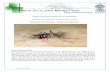 Aedes japonicus 2019-FINALdoc - SMSL