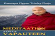 AVULLA VAPAUTEEN - Karmapa Foundation Europe