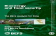 The Bioenergy and Food Security Project - FAO