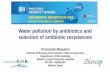 Water pollution by antibiotics and selection of antibiotic ...
