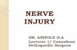 Peripheral Nerve Injuries - Bowen University