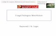 Fungal Pathogens Metarhizium - StopBMSB.org