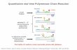Quantitative real time Polymerase Chain Reaction