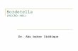 Lecture 16-Bordetella, Brucella