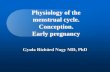 Physiology of the menstrual cycle. Conception. Early pregnancy