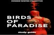 Birds of Paradise study guide - Pioneer Winter Collective