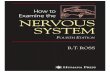 How to Examine the Nervous System - E-Learning Medistra