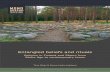 Entangled beliefs and rituals - Suomen arkeologinen seura