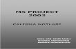 Ms project ders notları