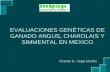 Evaluaciones genéticas de ganado Angus, Charolais y Simmental en México