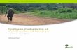 Les politiques d'adaptation et d'atténuation au Cameroun: Pistes de synergies