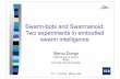 Swarm-bots and Swarmanoid: Two experiments in embodied ...