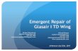 Emergent Repair of Glasair I TD Wing - Custom Technologies ...