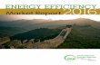 ENERGY EFFICIENCY MARKET REPORT 2016 - Ellipse ISE