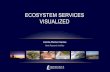 Ecosystem Services Visualized- communicating Ecosystem Services