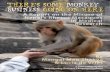 stop monkey business campaign report - Animal Nepal's Blog