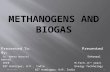 METHANOGENS AND BIOGAS