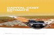 CAPITAL COST ESTIMATE - Vimy Resources
