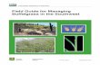 Field Guide for Managing Buffelgrass in the Southwest