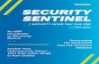 security sentinel - Tech Data Corporation