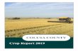 Crop Report 2019 COLUSA COUNTY