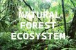 NATURAL FOREST ECOSYSTEM edited