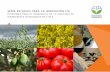 serie estudios para la innovación fia - Transforma Alimentos