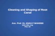 Cleaning and Shaping of Root Canal