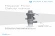 Regular Flow Safety valves - IMI Critical