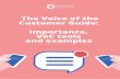 The Voice of the Customer Guide: Importance, VoC tools and ...