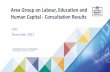 Area Group on Labour, Education and Human Capital
