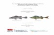 The feasibility of excluding alien redfin perch from Macquarie ...
