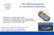 The Mitochondria in Ischemic Disease - Cardiologia Molinette