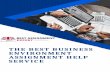 The Best Business Environment Assignment Help Service