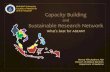 Capacity Building and Sustainable Research Network: What's best ...