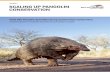 Scaling up pangolin conservation. IUCN SSC Pangolin Specialist Group Conservation Action Plan