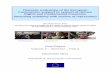 Thematic evaluation of the European Commission support to ...