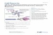 IgE/FcεRI-Mediated Antigen Cross-Presentation by Dendritic Cells Enhances Anti-Tumor Immune Responses