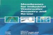 Membranes for Industrial Wastewater Recovery and Re-use