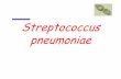 Streptococcus pneumoniae - GMCH