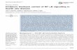 Inhibitory feedback control of NF-κB signalling in health and ...